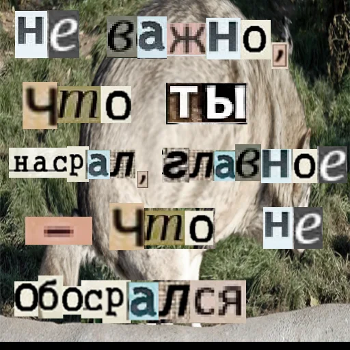 Стикер из набора Волк за брата @sticker_na_vorotnik для Телеграм: Статические 🚽