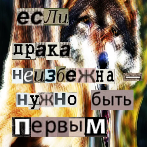 Стикер из набора Волк за брата @sticker_na_vorotnik для Телеграм: Статические 😤