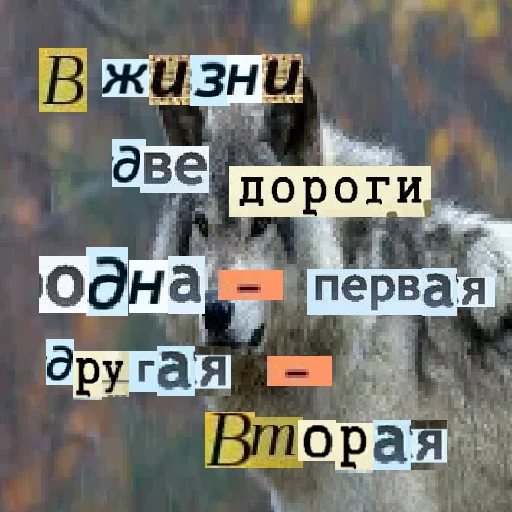 Стикер из набора Волк за брата @sticker_na_vorotnik для Телеграм: Статические ✌️