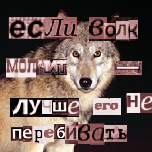 Стикер из набора Волк за брата @sticker_na_vorotnik для Телеграм: Статические 😶