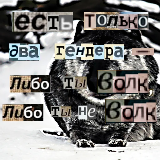Стикер из набора Волк за брата @sticker_na_vorotnik для Телеграм: Статические ✌️