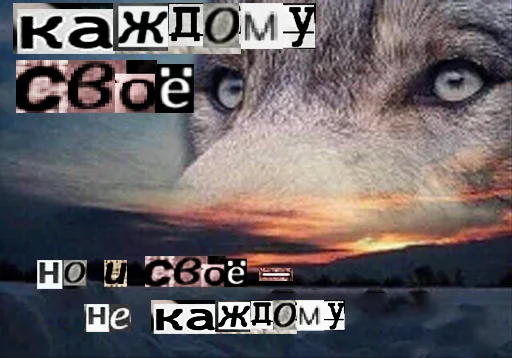 Стикер из набора Волк за брата @sticker_na_vorotnik для Телеграм: Статические 👆