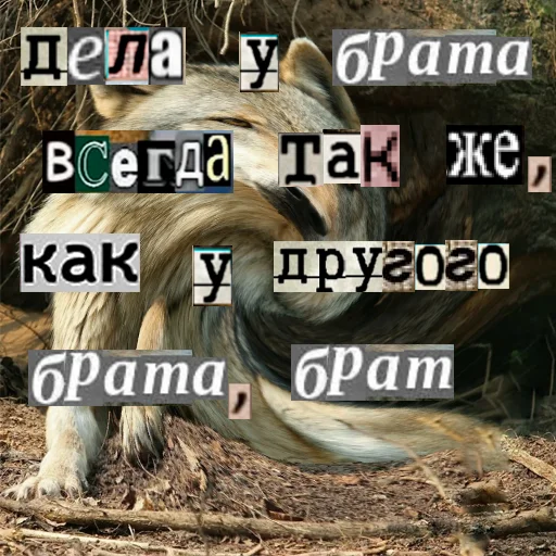 Стикер из набора Волк за брата @sticker_na_vorotnik для Телеграм: Статические 🤙