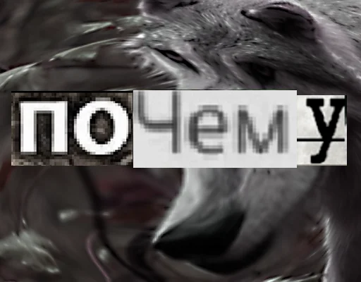 Стикер из набора Волк за брата @sticker_na_vorotnik для Телеграм: Статические 🧐