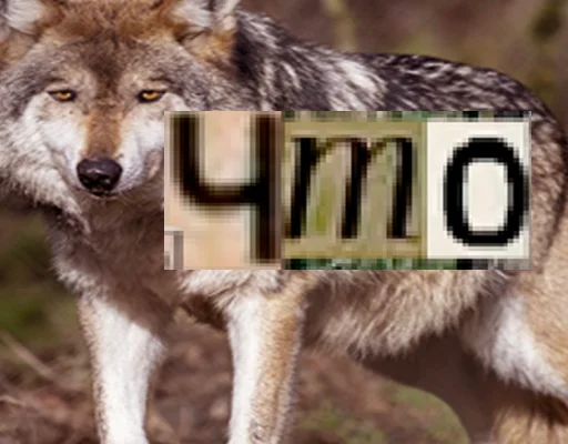 Стикер из набора Волк за брата @sticker_na_vorotnik для Телеграм: Статические ❓