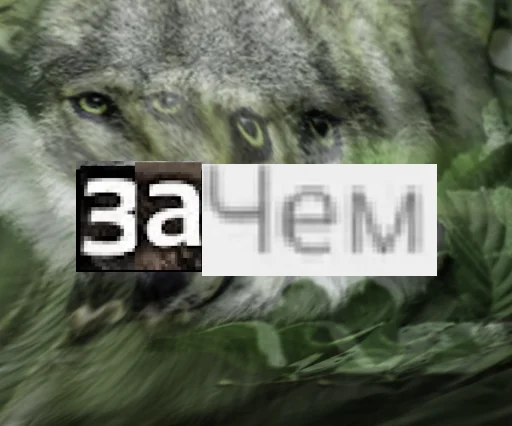 Стикер из набора Волк за брата @sticker_na_vorotnik для Телеграм: Статические 🤔