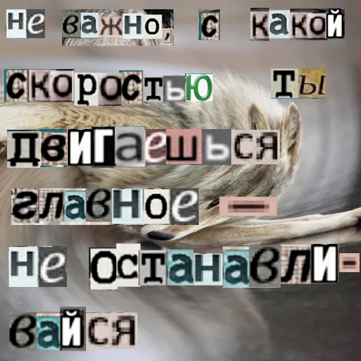 Стикер из набора Волк за брата @sticker_na_vorotnik для Телеграм: Статические ✊