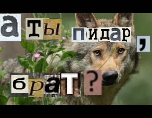 Стикер из набора Волк за брата @sticker_na_vorotnik для Телеграм: Статические 🧐