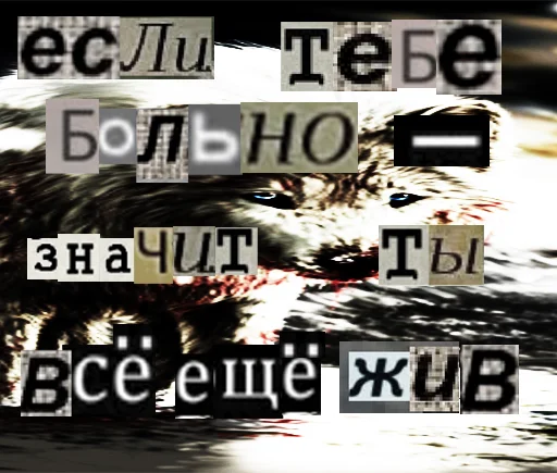 Стикер из набора Волк за брата @sticker_na_vorotnik для Телеграм: Статические 😢