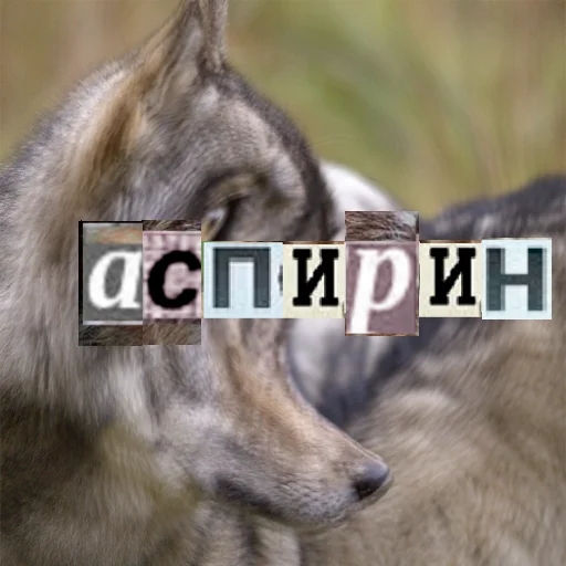 Стикер из набора Волк за брата @sticker_na_vorotnik для Телеграм: Статические 💊