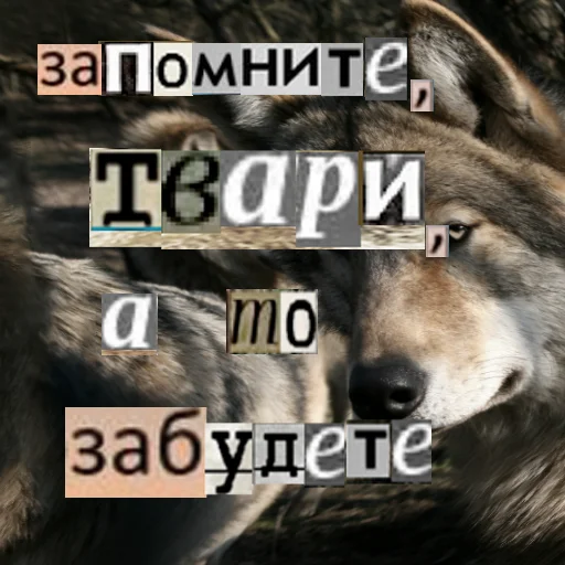 Стикер из набора Волк за брата @sticker_na_vorotnik для Телеграм: Статические 🧠