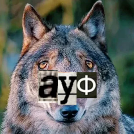Стикер из набора Волк за брата @sticker_na_vorotnik для Телеграм: Статические ✌️