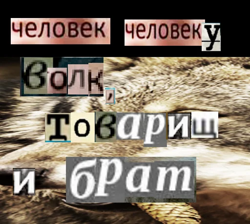 Стикер из набора Волк за брата @sticker_na_vorotnik для Телеграм: Статические 🤝