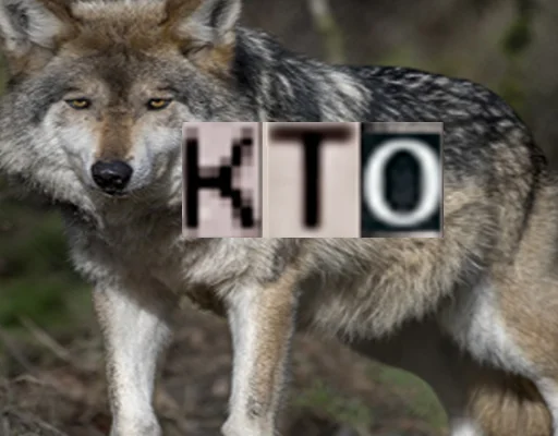 Стикер из набора Волк за брата @sticker_na_vorotnik для Телеграм: Статические 🤨
