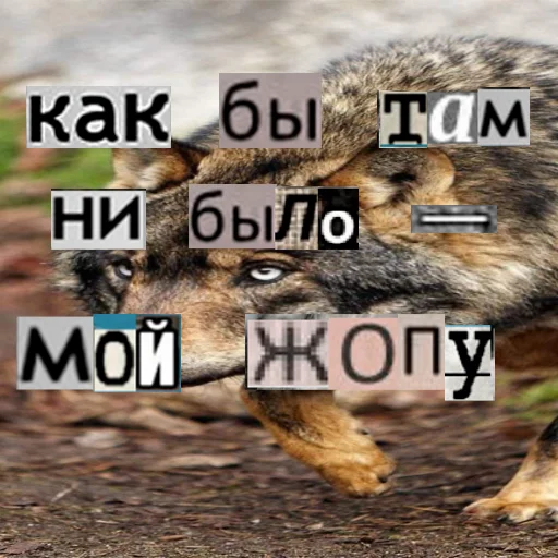 Стикер из набора Волк за брата @sticker_na_vorotnik для Телеграм: Статические 🛁