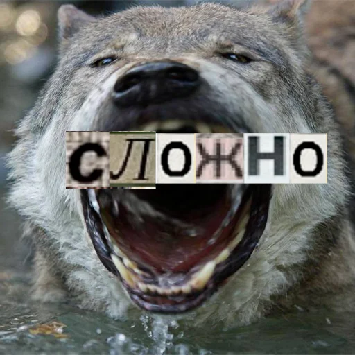 Стикер из набора Волк за брата @sticker_na_vorotnik для Телеграм: Статические 😤