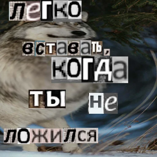 Стикер из набора Волк за брата @sticker_na_vorotnik для Телеграм: Статические 👊