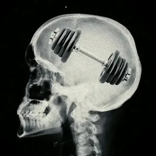 Стикер из набора xoxolka666 для Телеграм: Анимированные, Видео, Статические 🧠