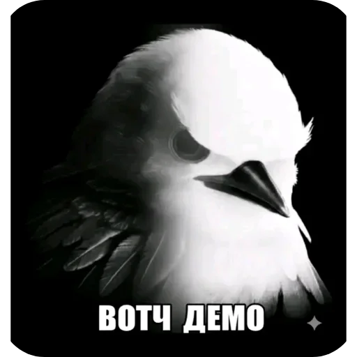 Стикер из набора xoxolka666 для Телеграм: Анимированные, Видео, Статические 🕊