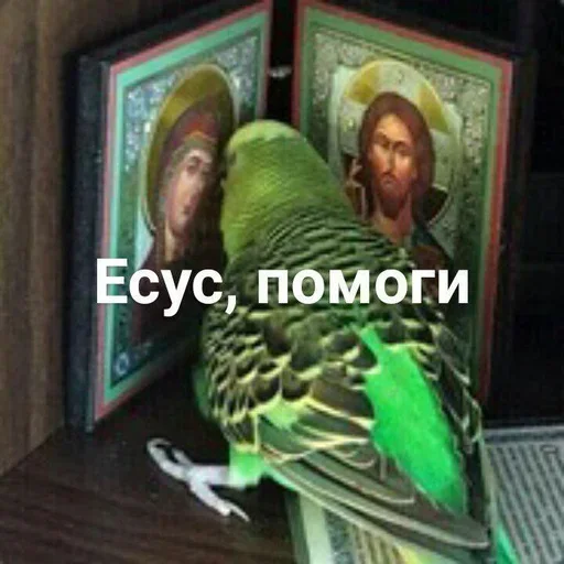 Стикер из набора xoxolka666 для Телеграм: Анимированные, Видео, Статические 😇