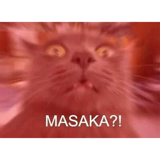 Стикер из набора YAMERO для Телеграм: Статические 😮