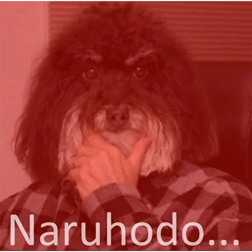 Стикер из набора YAMERO для Телеграм: Статические 🤔