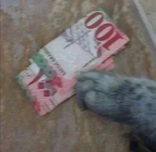 Стикер из набора @yas70r для Телеграм: Статические 🤑