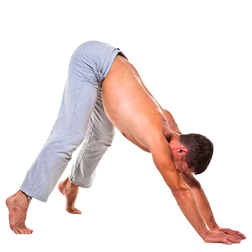 Стикер из набора Yoga @stickersb2b для Телеграм: Анимированные, Статические 😄