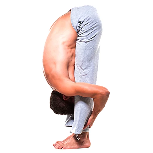 Стикер из набора Yoga @stickersb2b для Телеграм: Анимированные, Статические 😚