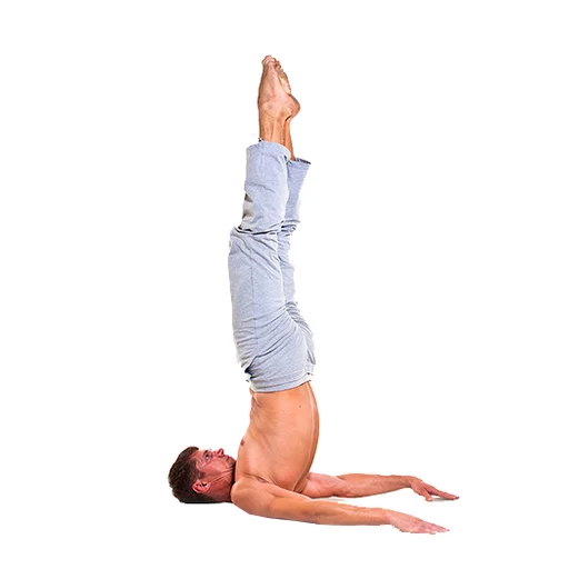 Стикер из набора Yoga @stickersb2b для Телеграм: Анимированные, Статические 🤗