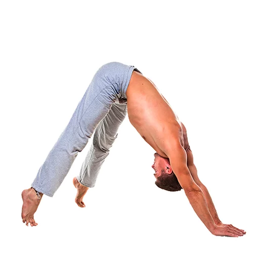 Стикер из набора Yoga @stickersb2b для Телеграм: Анимированные, Статические 😝