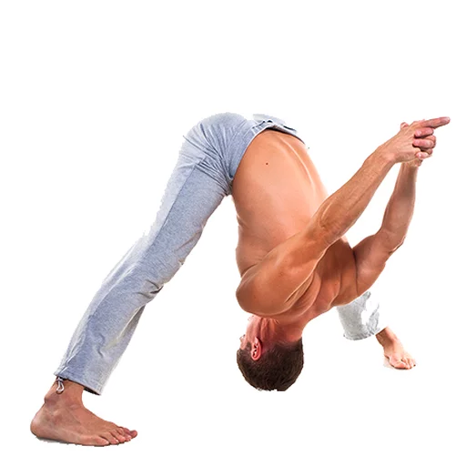 Стикер из набора Yoga @stickersb2b для Телеграм: Анимированные, Статические 😃