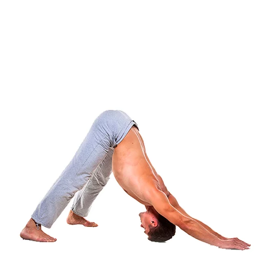 Стикер из набора Yoga @stickersb2b для Телеграм: Анимированные, Статические 😍