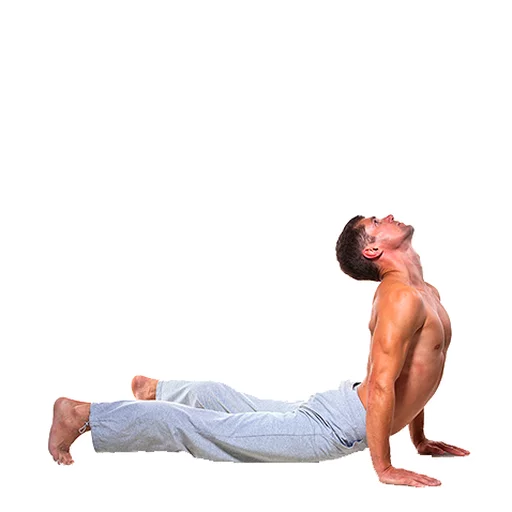 Стикер из набора Yoga @stickersb2b для Телеграм: Анимированные, Статические 😃