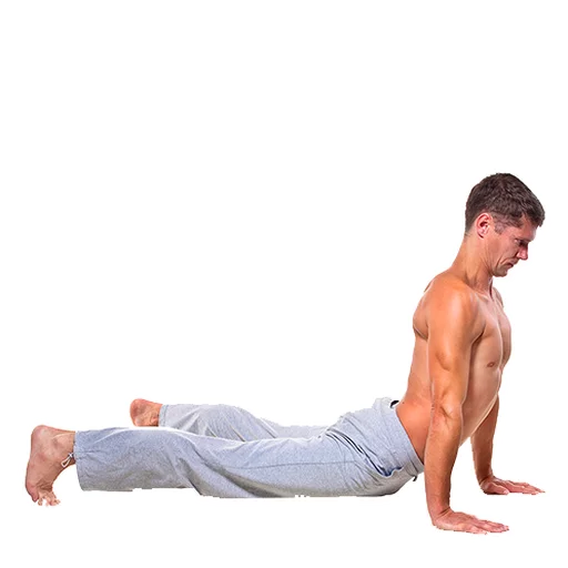 Стикер из набора Yoga @stickersb2b для Телеграм: Анимированные, Статические 😄
