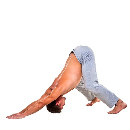 Стикер из набора Yoga @stickersb2b для Телеграм: Анимированные, Статические 😁