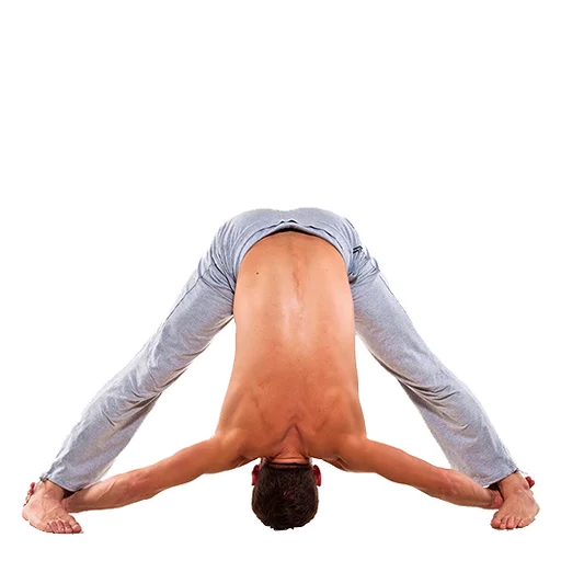 Стикер из набора Yoga @stickersb2b для Телеграм: Анимированные, Статические 😣