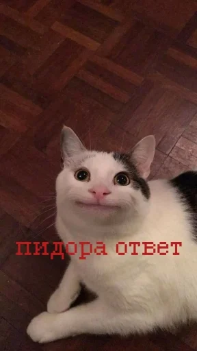 Стикер из набора иди нахер для Телеграм: Статические 😇