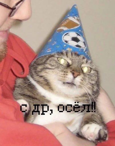 Стикер из набора иди нахер для Телеграм: Статические 🥳