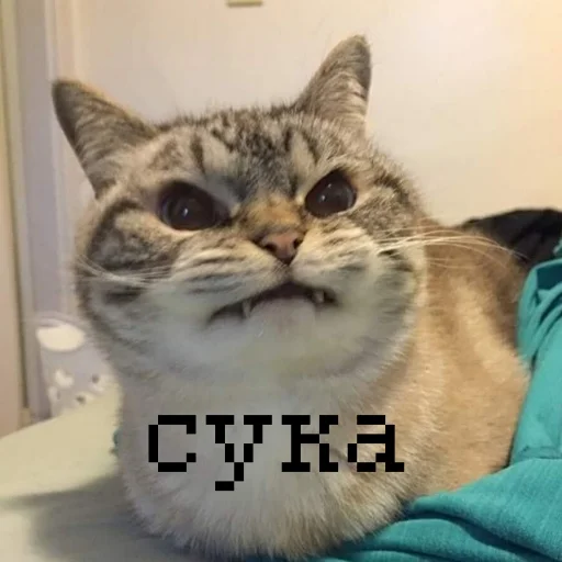 Стикер из набора иди нахер для Телеграм: Статические 😡