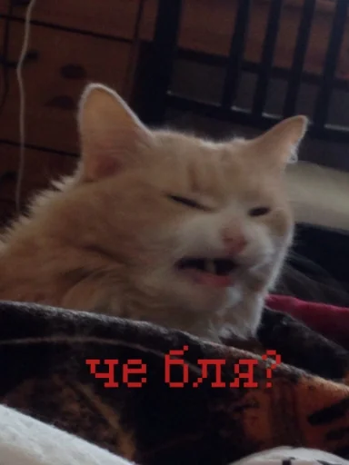 Стикер из набора иди нахер для Телеграм: Статические 🤨