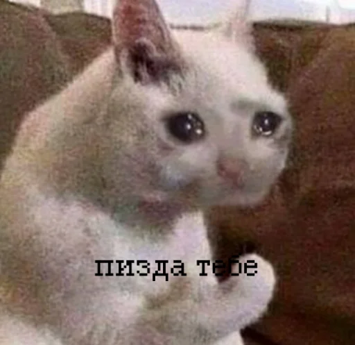 Стикер из набора иди нахер для Телеграм: Статические 😡