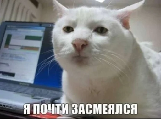Стикер из набора иди нахер для Телеграм: Статические 🤭