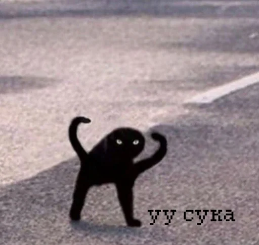 Стикер из набора иди нахер для Телеграм: Статические 😾