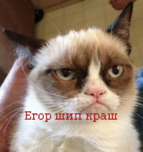 Стикер из набора иди нахер для Телеграм: Статические 😋