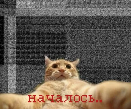 Стикер из набора иди нахер для Телеграм: Статические 🥱