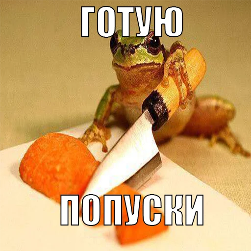 Стикер из набора жаби йопта для Телеграм: Статические 🍔