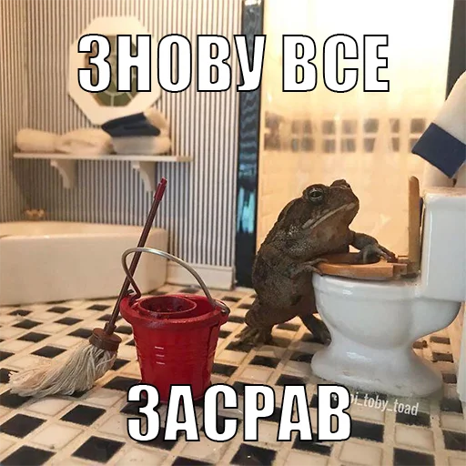 Стикер из набора жаби йопта для Телеграм: Статические 💩