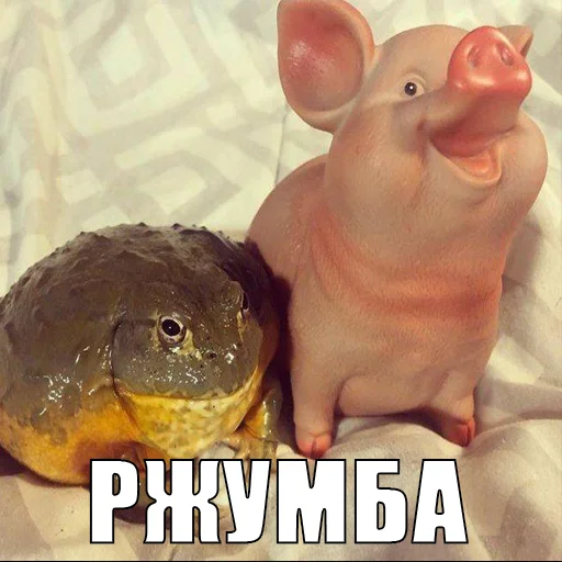 Стикер из набора жаби йопта для Телеграм: Статические 😂