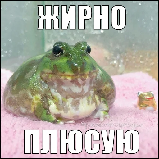 Стикер из набора жаби йопта для Телеграм: Статические ✅